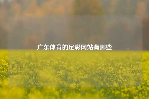 广东体育的足彩网站有哪些