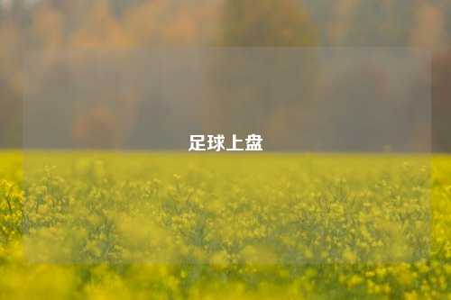 足球上盘