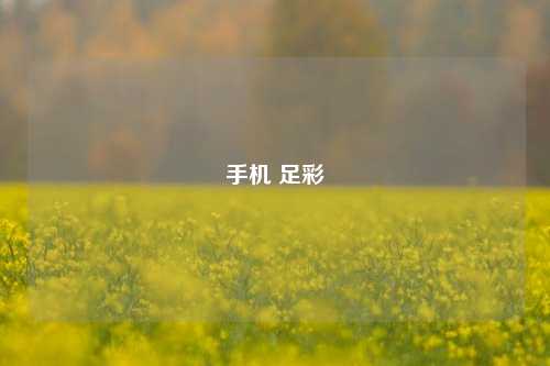 手机 足彩