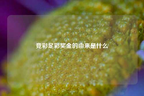 竞彩足彩奖金的由来是什么