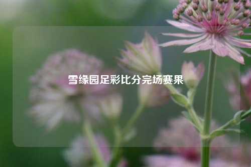 雪缘园足彩比分完场赛果