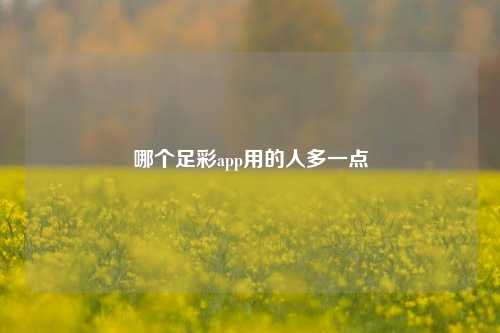哪个足彩app用的人多一点