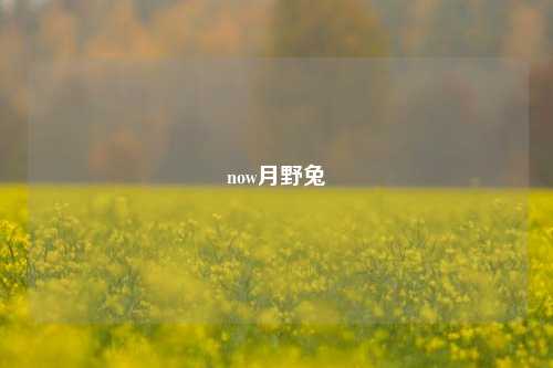 now月野兔