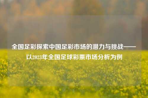 全国足彩探索中国足彩市场的潜力与挑战——以2023年全国足球彩票市场分析为例