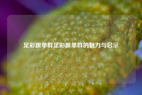 足彩跟单群足彩跟单群的魅力与启示