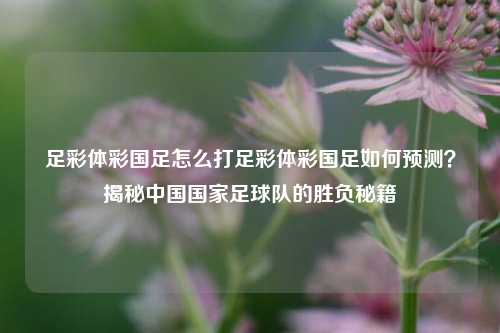 足彩体彩国足怎么打足彩体彩国足如何预测？揭秘中国国家足球队的胜负秘籍