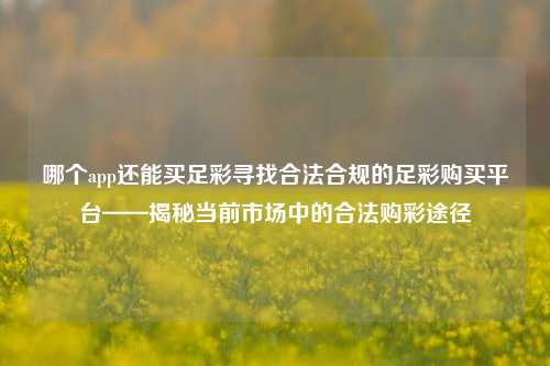 哪个app还能买足彩寻找合法合规的足彩购买平台——揭秘当前市场中的合法购彩途径