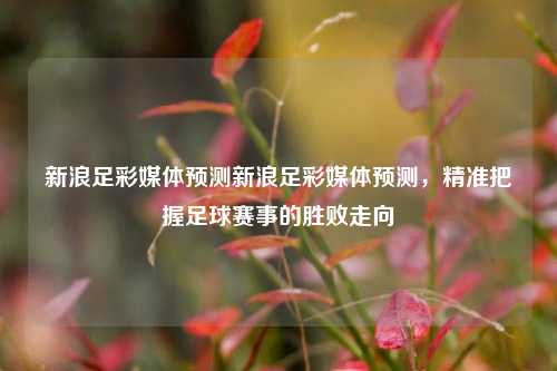 新浪足彩媒体预测新浪足彩媒体预测，精准把握足球赛事的胜败走向