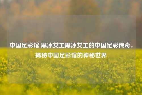 中国足彩馆 黑冰女王黑冰女王的中国足彩传奇，揭秘中国足彩馆的神秘世界