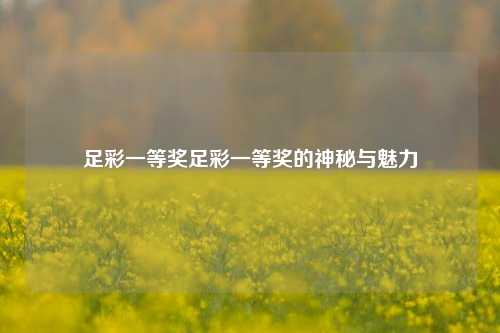 足彩一等奖足彩一等奖的神秘与魅力