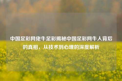 中国足彩网佬牛足彩揭秘中国足彩网牛人背后的真相，从技术到心理的深度解析