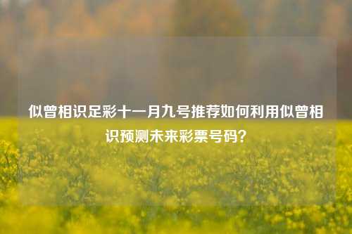 似曾相识足彩十一月九号推荐如何利用似曾相识预测未来彩票号码？