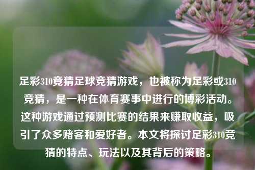 足彩310竟猜足球竞猜游戏，也被称为足彩或310竞猜，是一种在体育赛事中进行的博彩活动。这种游戏通过预测比赛的结果来赚取收益，吸引了众多赌客和爱好者。本文将探讨足彩310竞猜的特点、玩法以及其背后的策略。