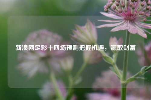 新浪网足彩十四场预测把握机遇，赢取财富
