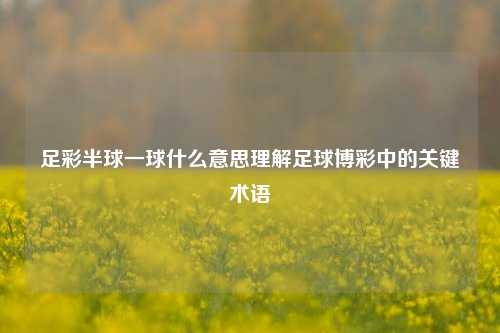 足彩半球一球什么意思理解足球博彩中的关键术语