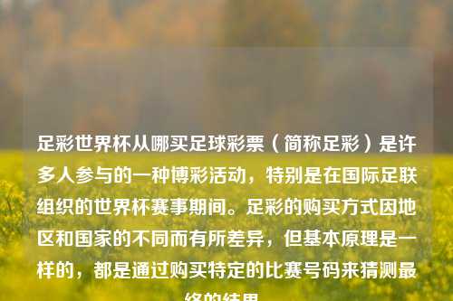 足彩世界杯从哪买足球彩票（简称足彩）是许多人参与的一种博彩活动，特别是在国际足联组织的世界杯赛事期间。足彩的购买方式因地区和国家的不同而有所差异，但基本原理是一样的，都是通过购买特定的比赛号码来猜测最终的结果。
