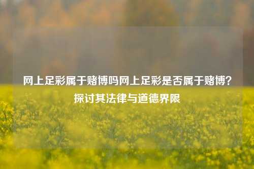 网上足彩属于赌博吗网上足彩是否属于赌博？探讨其法律与道德界限