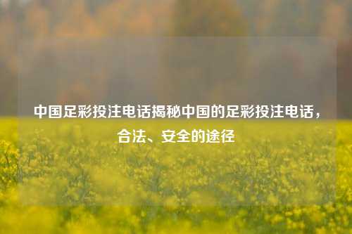 中国足彩投注电话揭秘中国的足彩投注电话，合法、安全的途径