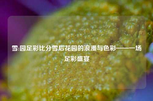 雪:园足彩比分雪后花园的浪漫与色彩——一场足彩盛宴