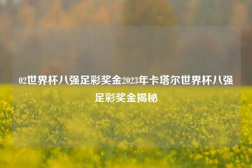 02世界杯八强足彩奖金2023年卡塔尔世界杯八强足彩奖金揭秘