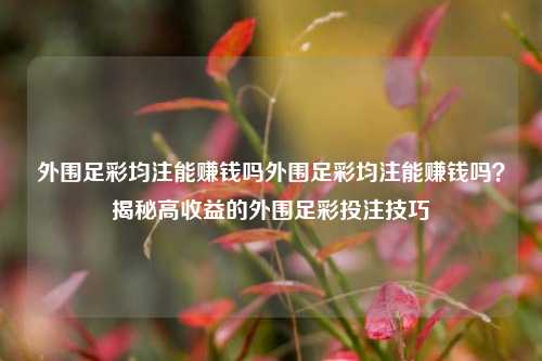 外围足彩均注能赚钱吗外围足彩均注能赚钱吗？揭秘高收益的外围足彩投注技巧