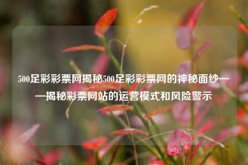 500足彩彩票网揭秘500足彩彩票网的神秘面纱——揭秘彩票网站的运营模式和风险警示