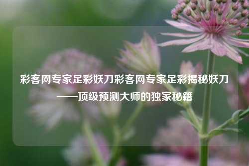 彩客网专家足彩妖刀彩客网专家足彩揭秘妖刀——顶级预测大师的独家秘籍