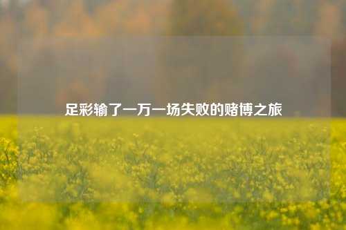 足彩输了一万一场失败的赌博之旅