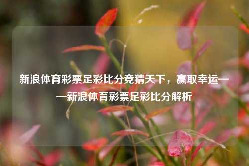 新浪体育彩票足彩比分竞猜天下，赢取幸运——新浪体育彩票足彩比分解析