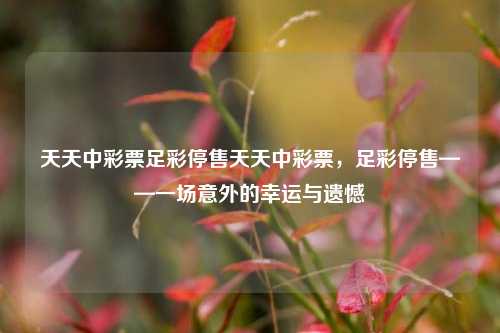天天中彩票足彩停售天天中彩票，足彩停售——一场意外的幸运与遗憾