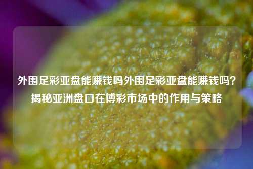 外围足彩亚盘能赚钱吗外围足彩亚盘能赚钱吗？揭秘亚洲盘口在博彩市场中的作用与策略