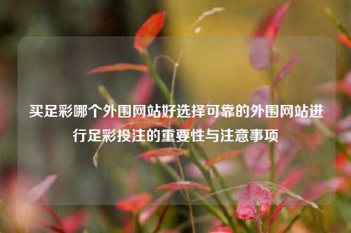 买足彩哪个外围网站好选择可靠的外围网站进行足彩投注的重要性与注意事项