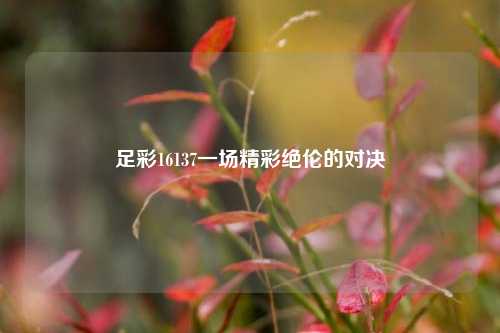 足彩16137一场精彩绝伦的对决