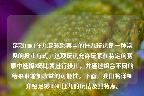 足彩18001任九足球彩票中的任九玩法是一种常见的投注方式。这项玩法允许玩家在特定的赛事中选择9场比赛进行投注，并通过组合不同的结果来增加收益的可能性。下面，我们将详细介绍足彩18001任九的玩法及其特点。
