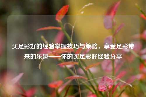 买足彩好的经验掌握技巧与策略，享受足彩带来的乐趣——你的买足彩好经验分享