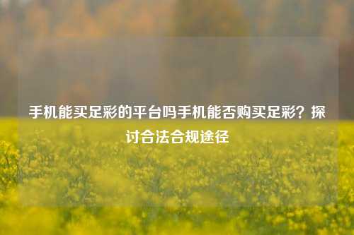 手机能买足彩的平台吗手机能否购买足彩？探讨合法合规途径