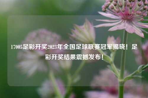 足球图片