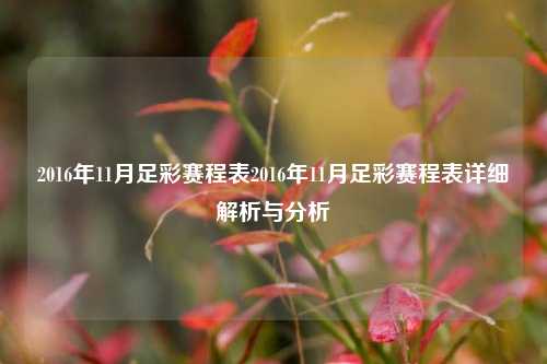 2016年11月足彩赛程表2016年11月足彩赛程表详细解析与分析