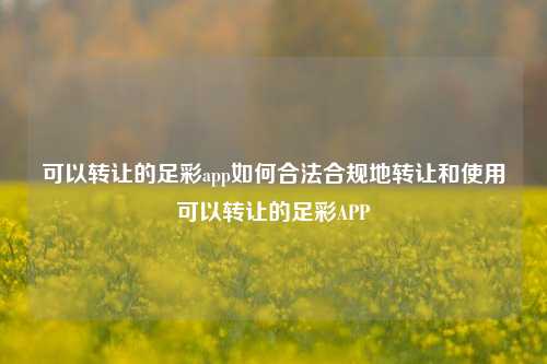 可以转让的足彩app如何合法合规地转让和使用可以转让的足彩APP