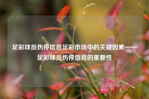 足彩球员伤停信息足彩市场中的关键因素——足彩球员伤停信息的重要性