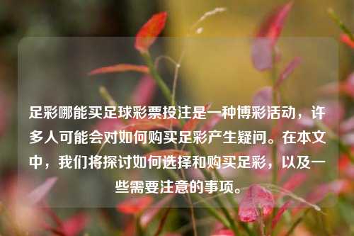 足彩哪能买足球彩票投注是一种博彩活动，许多人可能会对如何购买足彩产生疑问。在本文中，我们将探讨如何选择和购买足彩，以及一些需要注意的事项。
