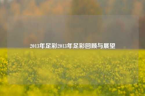 2013年足彩2013年足彩回顾与展望