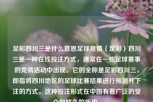 足彩四川三是什么意思足球竞猜（足彩）四川三是一种在线投注方式，通常在一些足球赛事的竞猜活动中出现。它的全称是足彩四川三，即指将四川地区的足球比赛结果进行预测并下注的方式。这种投注形式在中国有着广泛的受众和悠久的历史。
