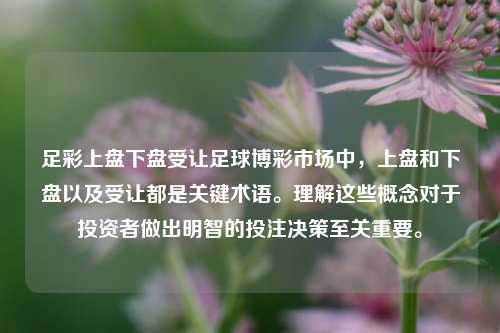 足彩上盘下盘受让足球博彩市场中，上盘和下盘以及受让都是关键术语。理解这些概念对于投资者做出明智的投注决策至关重要。