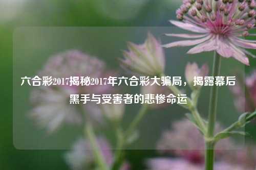 六合彩2017揭秘2017年六合彩大骗局，揭露幕后黑手与受害者的悲惨命运