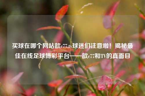 买球在哪个网站歆c77,tv球迷们注意啦！揭秘最佳在线足球博彩平台——歆c77和TV的真面目
