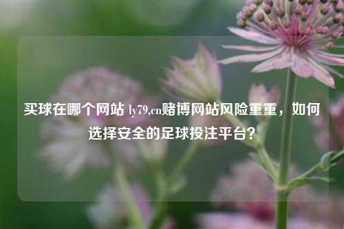 买球在哪个网站 ly79,cn赌博网站风险重重，如何选择安全的足球投注平台？
