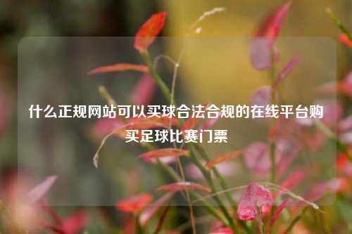 什么正规网站可以买球合法合规的在线平台购买足球比赛门票