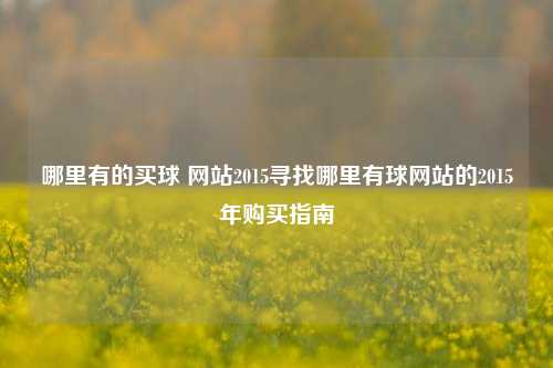 哪里有的买球 网站2015寻找哪里有球网站的2015年购买指南