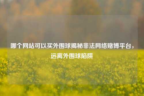哪个网站可以买外围球揭秘非法网络赌博平台，远离外围球陷阱